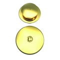 Brasstech Tub Drain Kit in Polished Gold (Pvd) 273/24